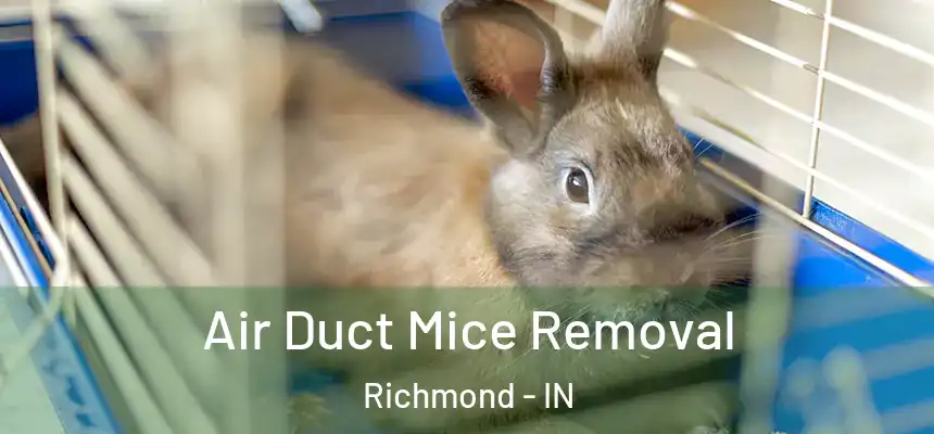 Air Duct Mice Removal Richmond - IN