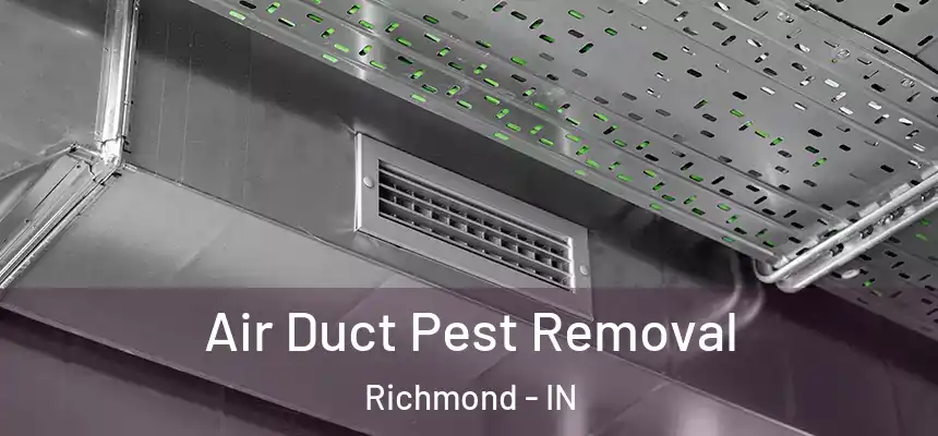  Air Duct Pest Removal Richmond - IN