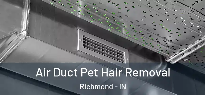 Air Duct Pet Hair Removal Richmond - IN
