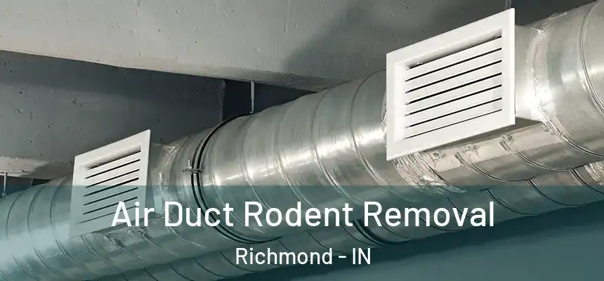  Air Duct Rodent Removal Richmond - IN