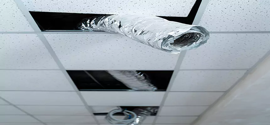 Our Air Duct Pet Hair Removal Services in Richmond, IN