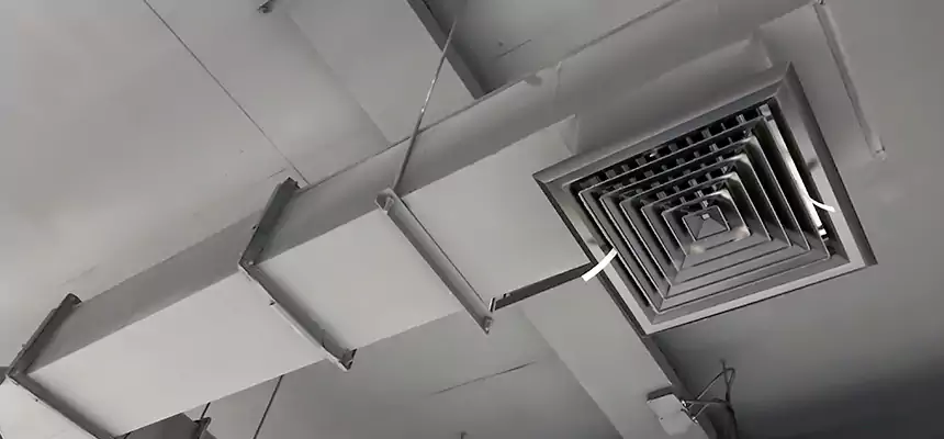 Our Rodent Droppings In Vents Services in Richmond, IN