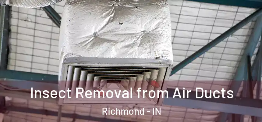 Insect Removal from Air Ducts Richmond - IN