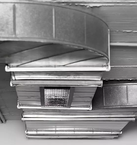 Professional Air Duct Pest Removal in Richmond, IN