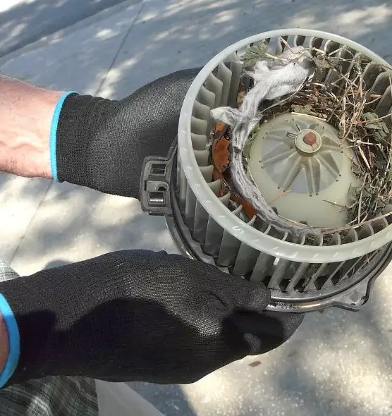 About Air Duct Rat Removal in Richmond, IN