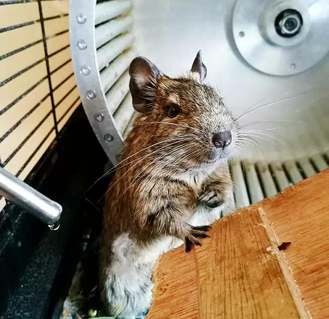 Why Homeowners & Businesses Trust Us Richmond, IN